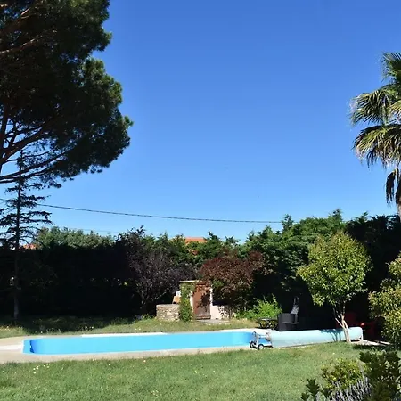 Catalane *